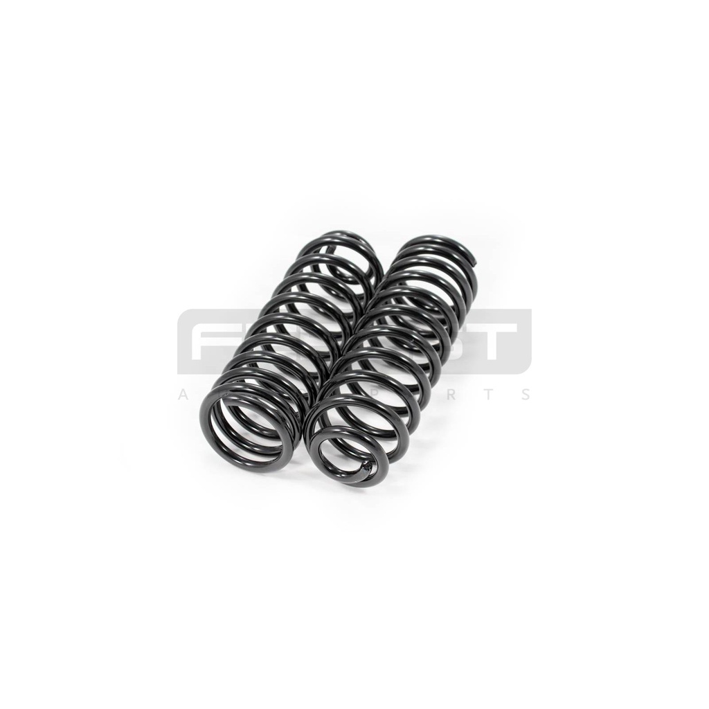 Jeu de ressorts arrière FEBEST – VAG