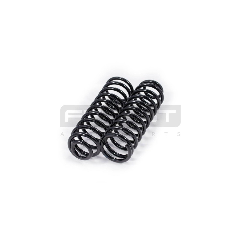 Jeu de ressorts arrière FEBEST – VAG