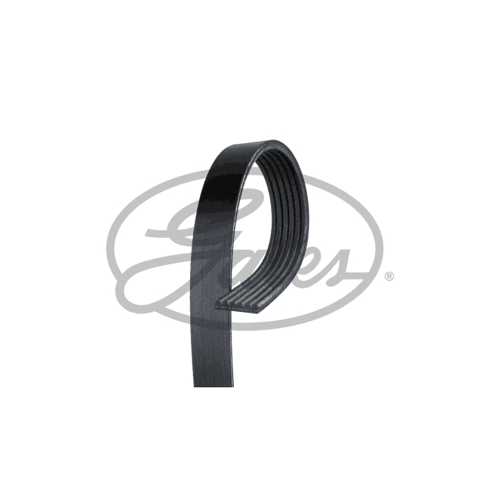 COURROIE D'ACCESSOIRE TOYOTA YARIS (_P13_) Essence 1.0 (KSP130_, KSP130) 69 CV (12/2010 - 06/2020)