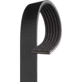 COURROIE D'ACCESSOIRES POLY-V - RÉFÉRENCE 6PK1555