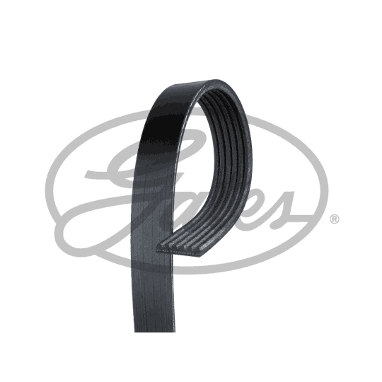 [SPS6PK1548] Courroie accessoire Gates – Moteur DV5RCF – Citroën Berlingo III