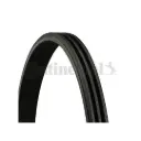 COURROIE POMPE A EAU FORD TRANSIT CUSTOM  2018 