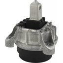 Support moteur droit (hydraulique) FEBEST – BMW
