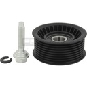 Jeu poulie renvoi FEBEST – FORD / LAND ROVER