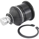 Rotule de triangle de suspension avant inférieur FEBEST – CFMOTO