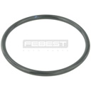Throttle body o-ring FEBEST – NISSAN / RENAULT