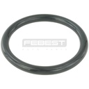 Throttle body o-ring FEBEST – NISSAN / RENAULT
